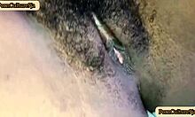 Harveyxbush loves fucking pussy with his bbc.