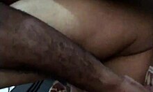 indian gay bear daddy action