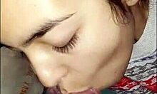 Compiled WSP Sexy Girl and a Cock Sucking Video