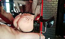 i'm so into hard pussy fucking babe in stockings and cumming on pussy