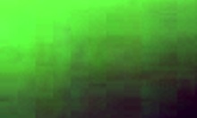 Amateur Trios In Quito City