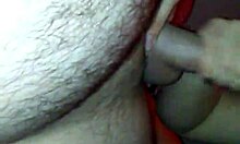 Dayzee, suck my cock harder to get it ready?