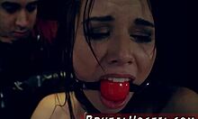 Aidra Fox and Kharlie Stone in rough anal bondage