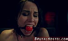 Aidra Fox和Kharlie Stone粗暴肛缚狂干