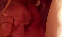 Roxanne and xander slutty cock sucker, amateurs blowjob sucking