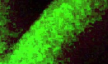 loira excitada queria sentar na pica at� tirar leite ser� que aguentou a noite inteira trepando 😈