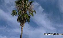 Black Bikini Babe, Blow That Big Dick Now!