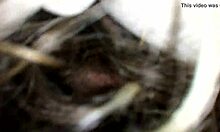 Awesome Cock Sucking Skills With Me And Friend