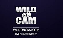 spicy teen latina with big tits, wanna see me masturbate live with toys?