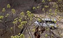 blonde teen angel emily bent over for outdoor anal blowjob and orgasm