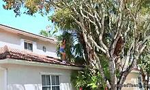 stranded teen 18+ riding cock in exbf's house