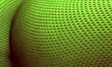 i love watching kiki cyrus and haley hill in this foot fetish lesbian fingering