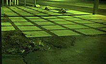 bondage and extreme hardcore for the first time unless you're from the