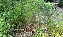 cruising gay cum dump outdoors part two