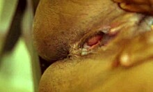 hey, wanna see a quick bang over this desk?