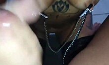 dog on leash serves master with ass