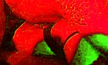 Sadic E Wagner Vittoria Live Sex