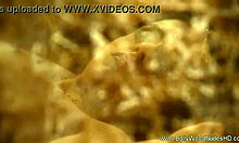 Dancing Under the Moonlight in India