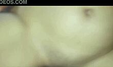 Watch this college latina suck dick!