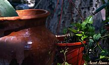 Busty Stepteen Screams in Forbidden 69!