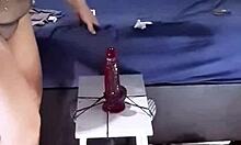 BBW Exhibitionist Rides Massive Red Dildo in POV View