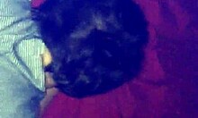 Bbw Girlfriend Bent Over for Homemade Doggystyle