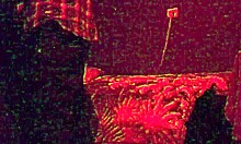 fucking my straight married friend?