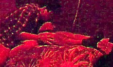 fucking my straight married friend?