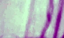 Vivi Guedez Makes Official Film Without Husband's Knowledge