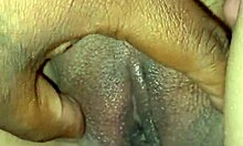 sorpresa por el dia del padre infiel