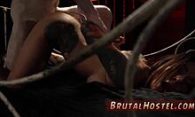 hey tiny girl, ready for rough verbal banging with tourists felicity