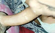 Wanessa Silva Sucking Novinho Dotado