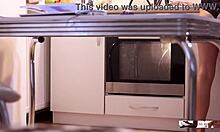 Quick bite before dinner amateur homemade