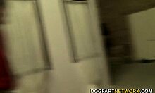 abbey brooks, wanna see me fuck while cuckold watches?