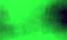 Secret Afternoon with Lover