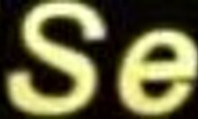 Safari adventure with hot chocolate babes