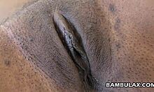 young ebony teen gets creampie from interracial amateur