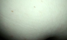 amateur enjoys sensual dance on top