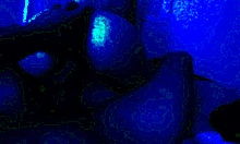 The Girl Craves Intense Fucking as Night Falls