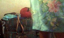 Video Solita En Casa