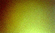 amateurs bent over doggystyle mexican fucking