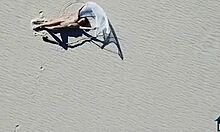 Belgium teen strips naked, revealing her curves