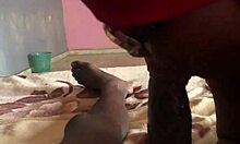 My stepmom showed me amazing orgasms as we fucked in doggystyle