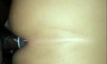 Fat amateur milf getting fucked hard in the asshole intensely