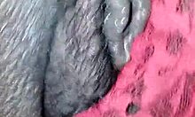 Eating Ebony Pussy Before Bed