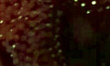 nice anal with my husband, that's what we did