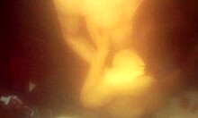 my hot boyfriend chases me in bathroom with hard cock