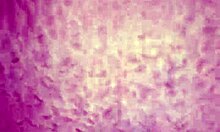 Beautiful Indian Girl With Boyfriend