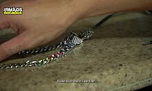 O Moleque Tem Um Pau Delicioso Pravia!