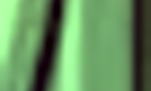 Kaci and her friend explore big black cock, leading to ass play and squirting